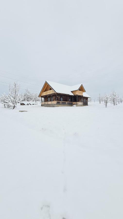 Casa Bunicilor Din Oncesti Villa Exterior photo