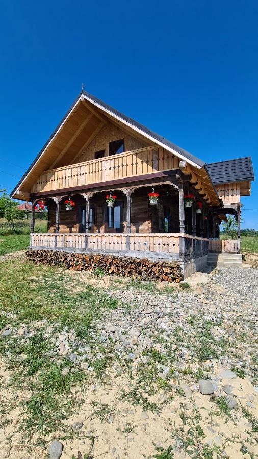 Casa Bunicilor Din Oncesti Villa Exterior photo